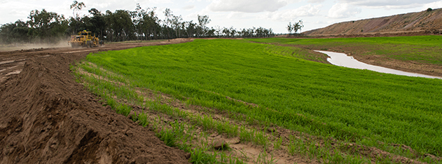 Middlemount Mine Land Rehabilitation
