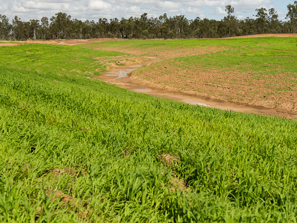 AE-Group-MMC-Gully-Land-Rehabilitation