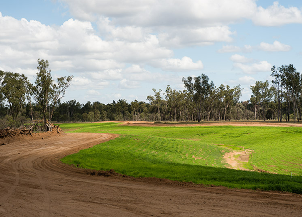 Middlemount Coal Mine - Revegetation of Thirteen Mile Gully Creek Diversion