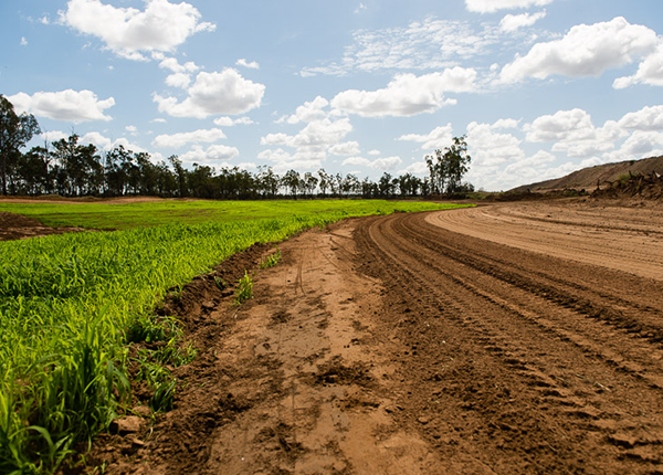 Middlemount Coal Mine - Revegetation of Thirteen Mile Gully Creek Diversion
